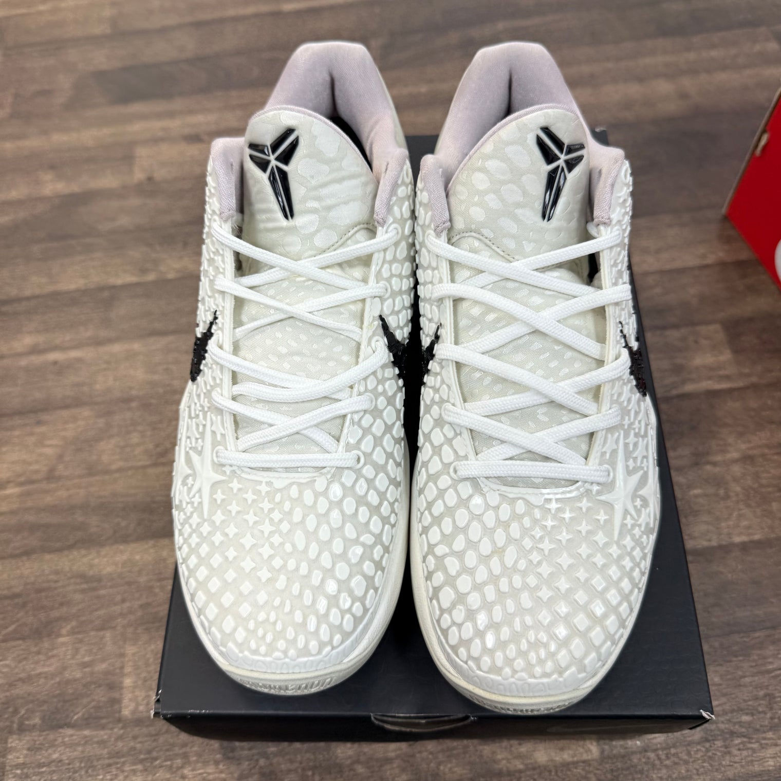 All Star Kobe 6 Protro (USED)