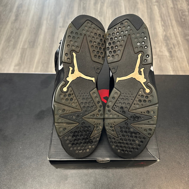 Black Cat Jordan 6 (USED)