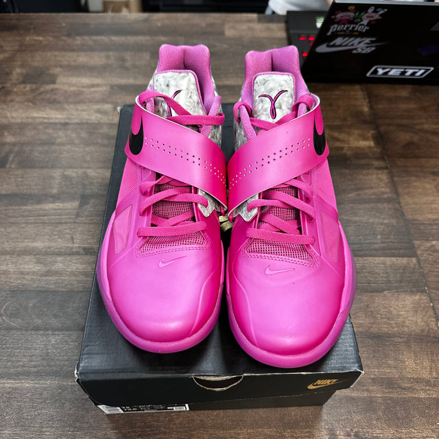 Aunt Pearl Nike KD 4 (USED)