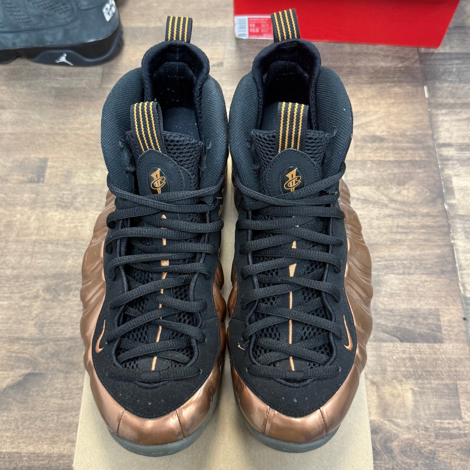 Copper Nike Foamposite (2017) (Used, No Box)