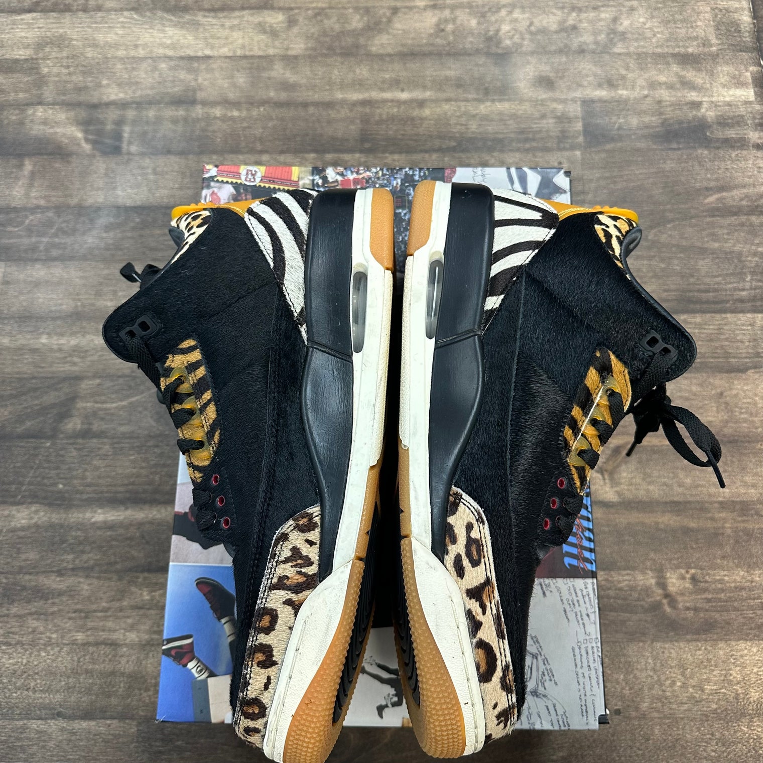 Animal Instinct Jordan 3 Retro SE (USED)