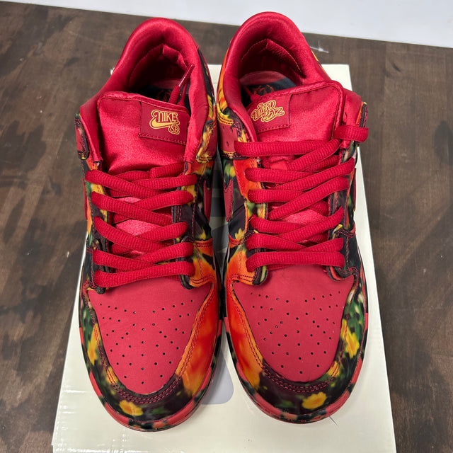 The Wizard of OZ Poppy Field Nike SB Dunk Low (New, Customized)