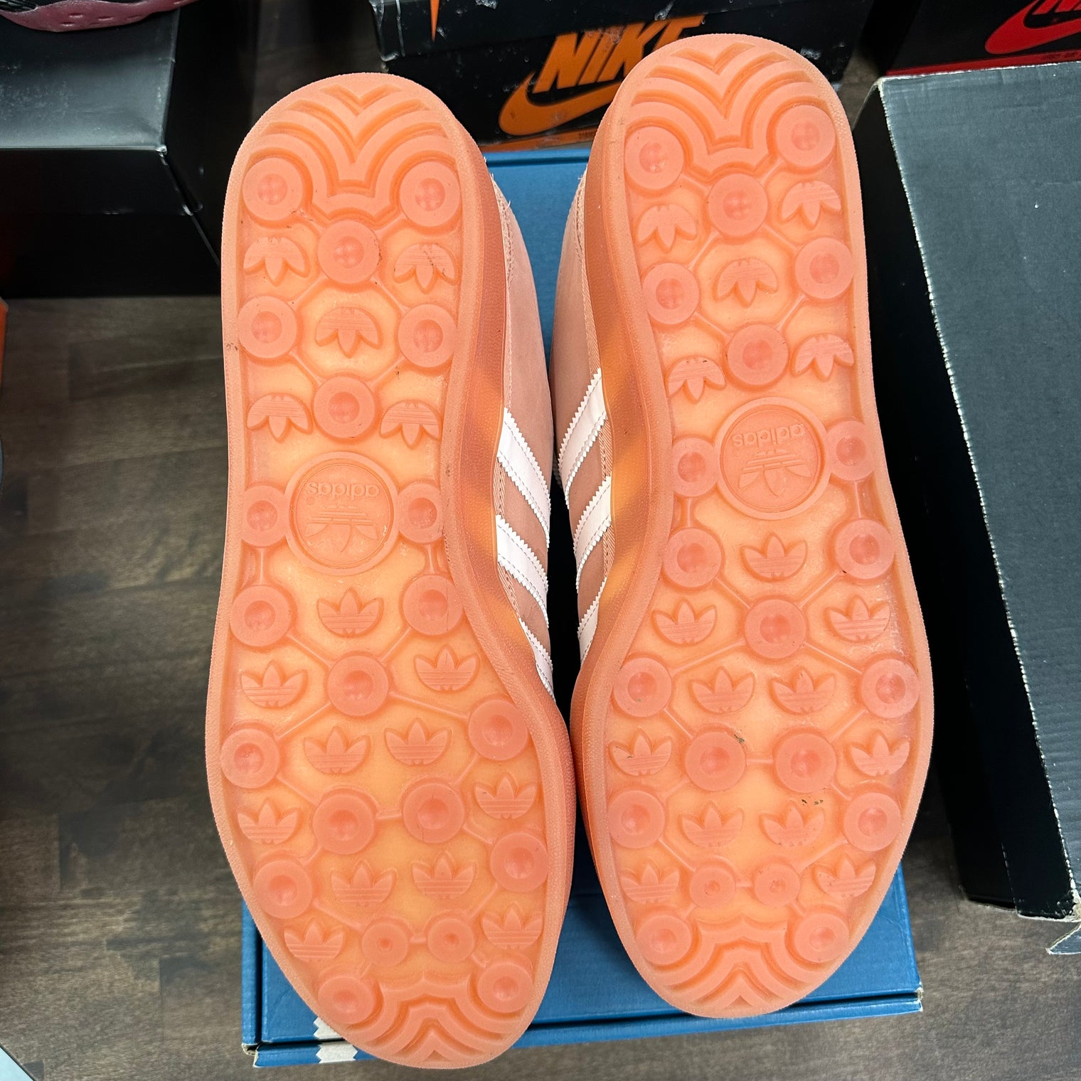 Bad Bunny Gazelle Indoor (USED)