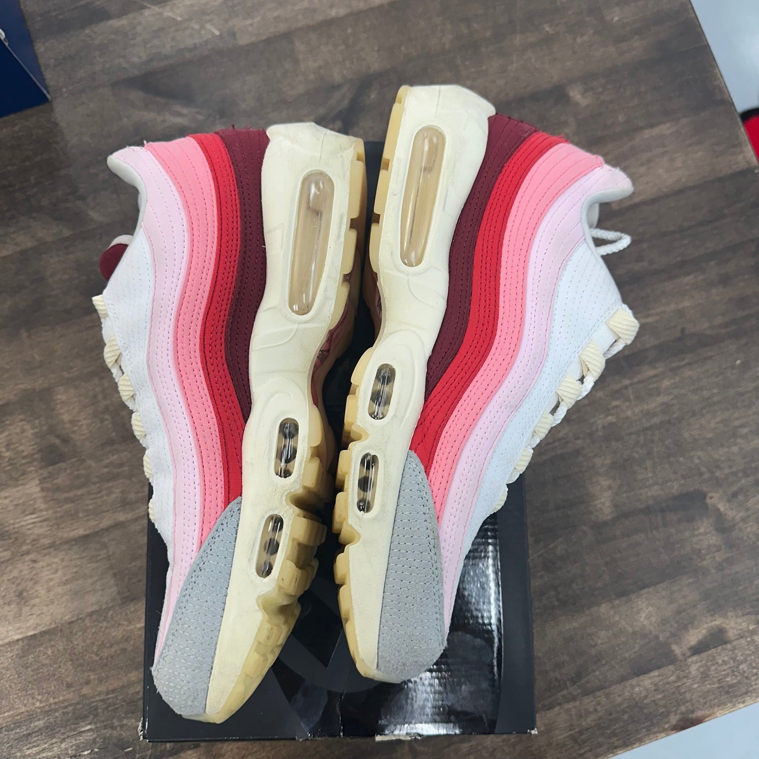 Anatomy Air Max 95 (USED)