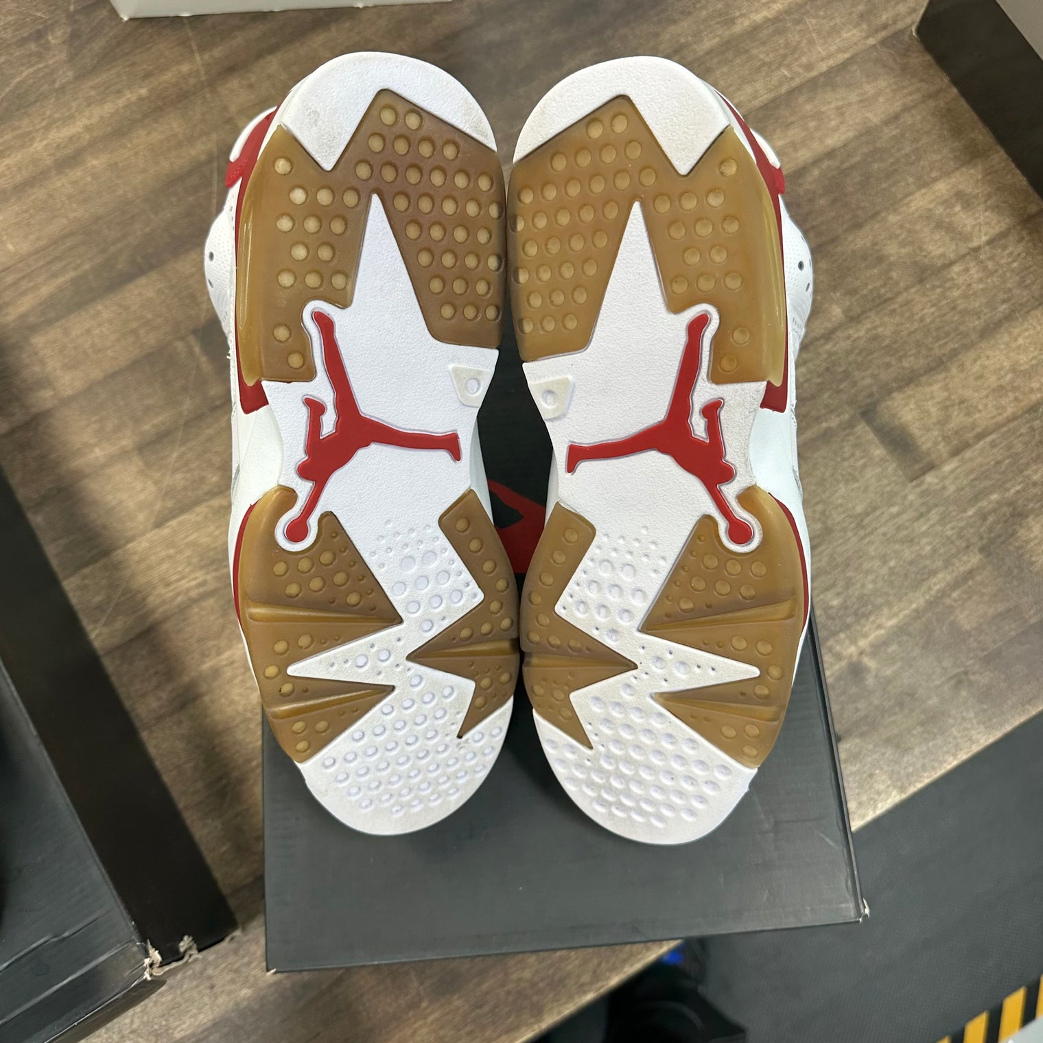 Hare Jordan 6 Retro (Used)