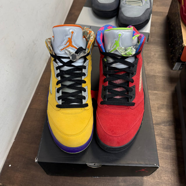 What the Jordan 5 Retro (USED)