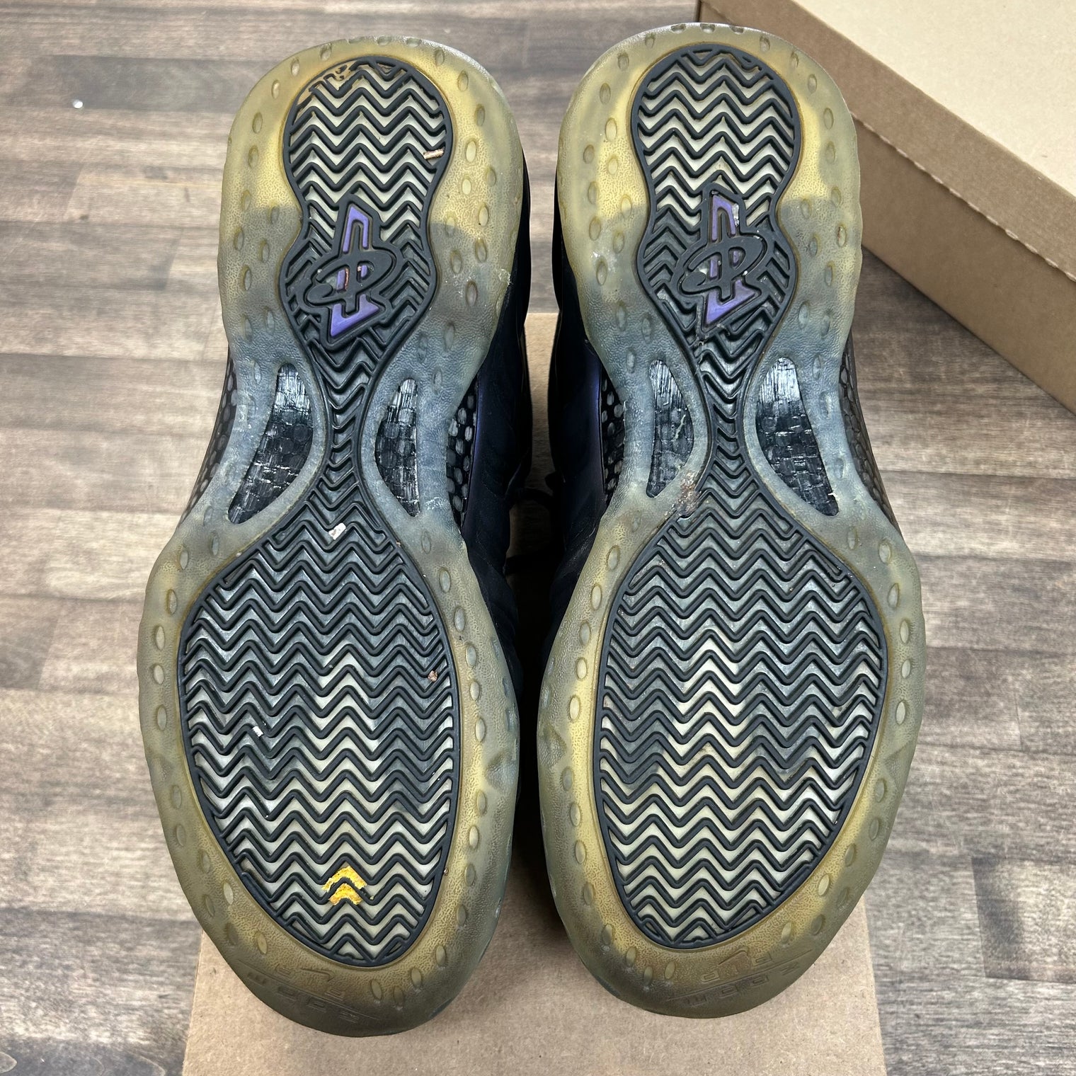 Eggplant Nike Foamposite (2017) (USED, No Box)