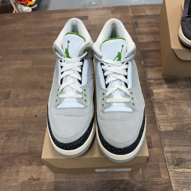 Chlorophyll Jordan 3 Retro (USED, No Box)