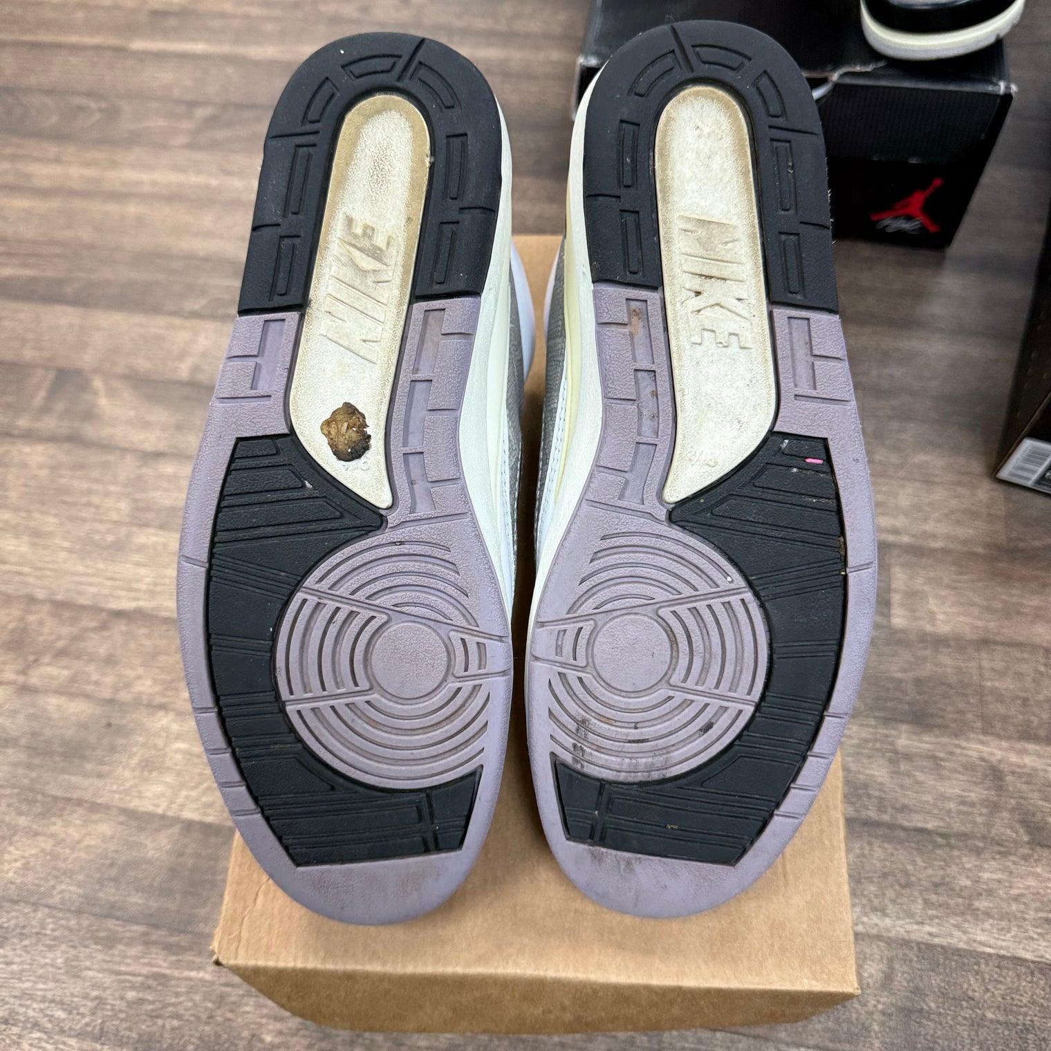 Python Jordan 2 (Used, No Box)