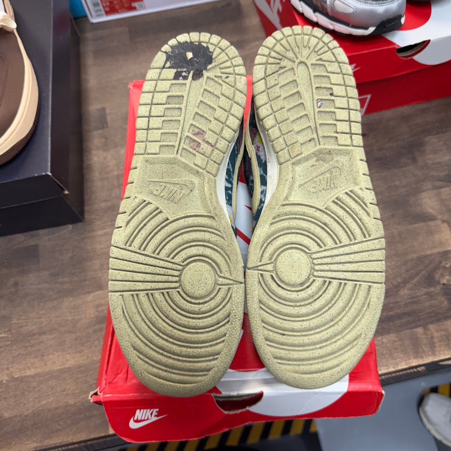 Community Garden Nike Dunk Low (USED)