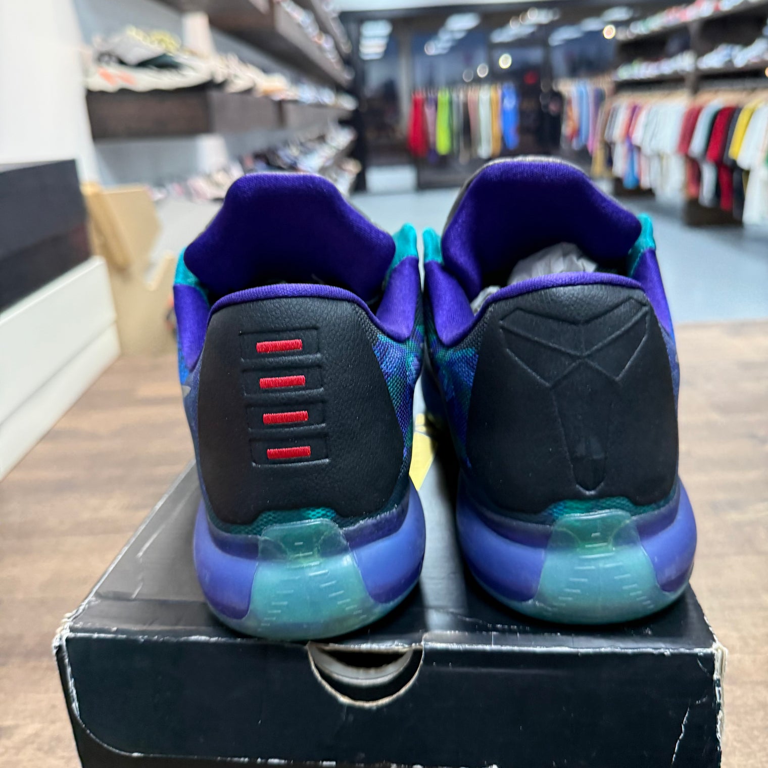 Pearl Jam Nike Kobe 10 (Used)