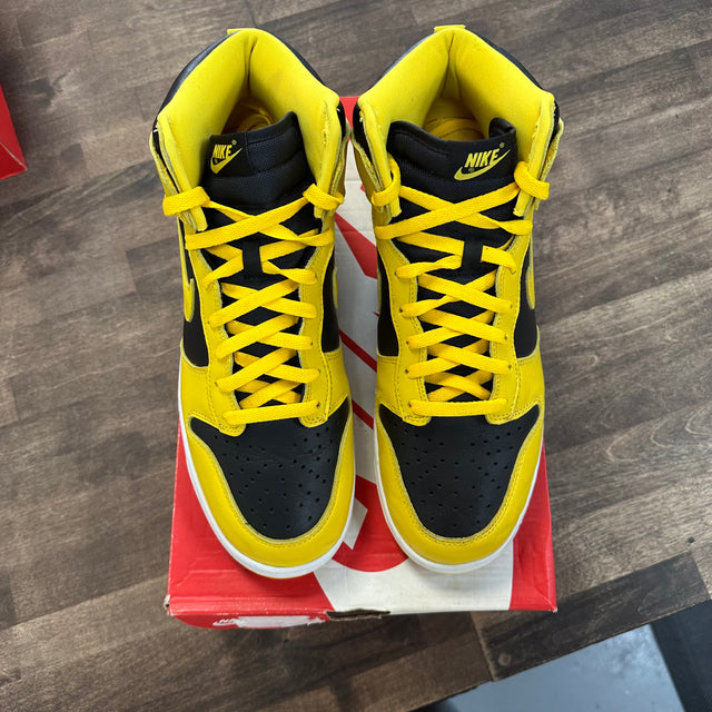 Iowa Dunk High (2020) (USED)