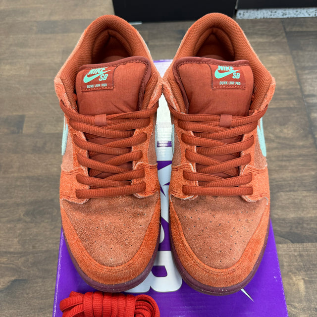 Mystic Red Nike SB Dunk Low (USED)