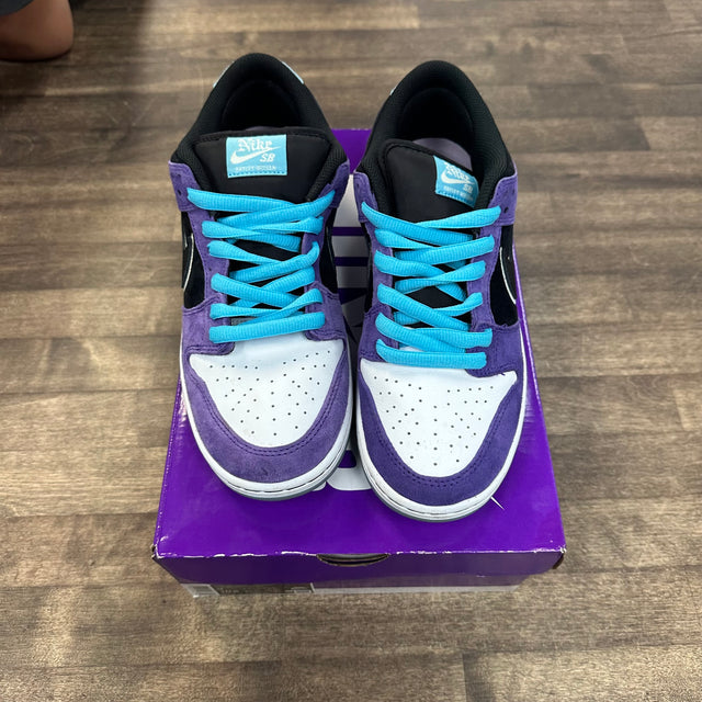 Hayley WIlson Nike SB Dunk low (USED)