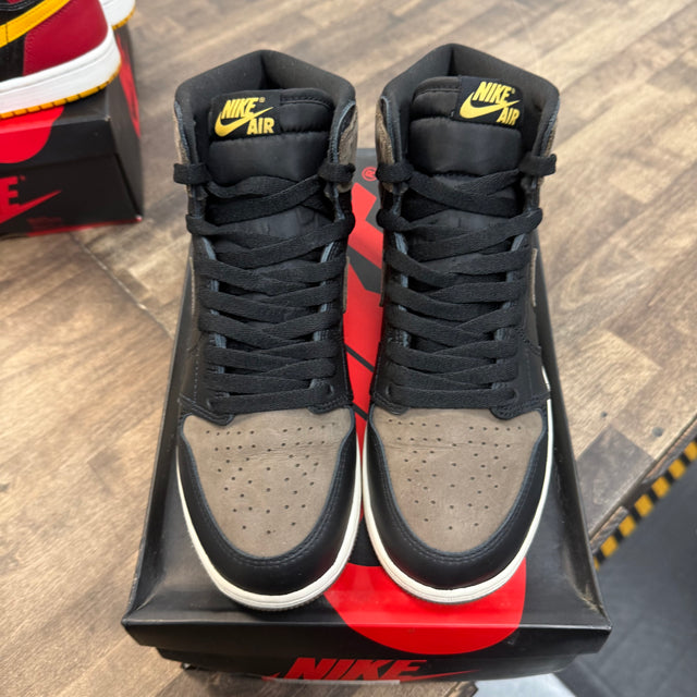 Palomino Jordan 1 High (GS) (USED)