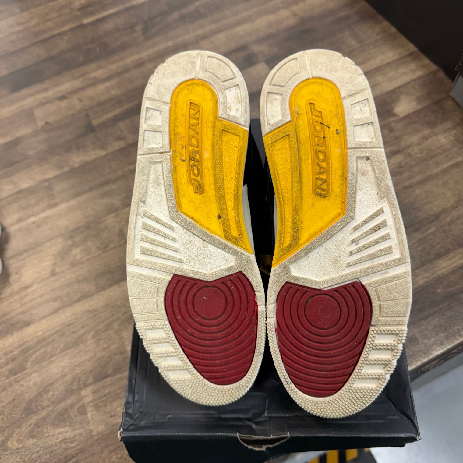 Animal Instinct 2.0 Jordan 3 Retro SE (USED)