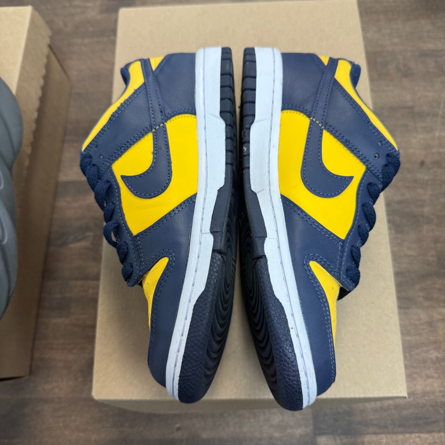 Michigan Dunk Low (Used, No Box)
