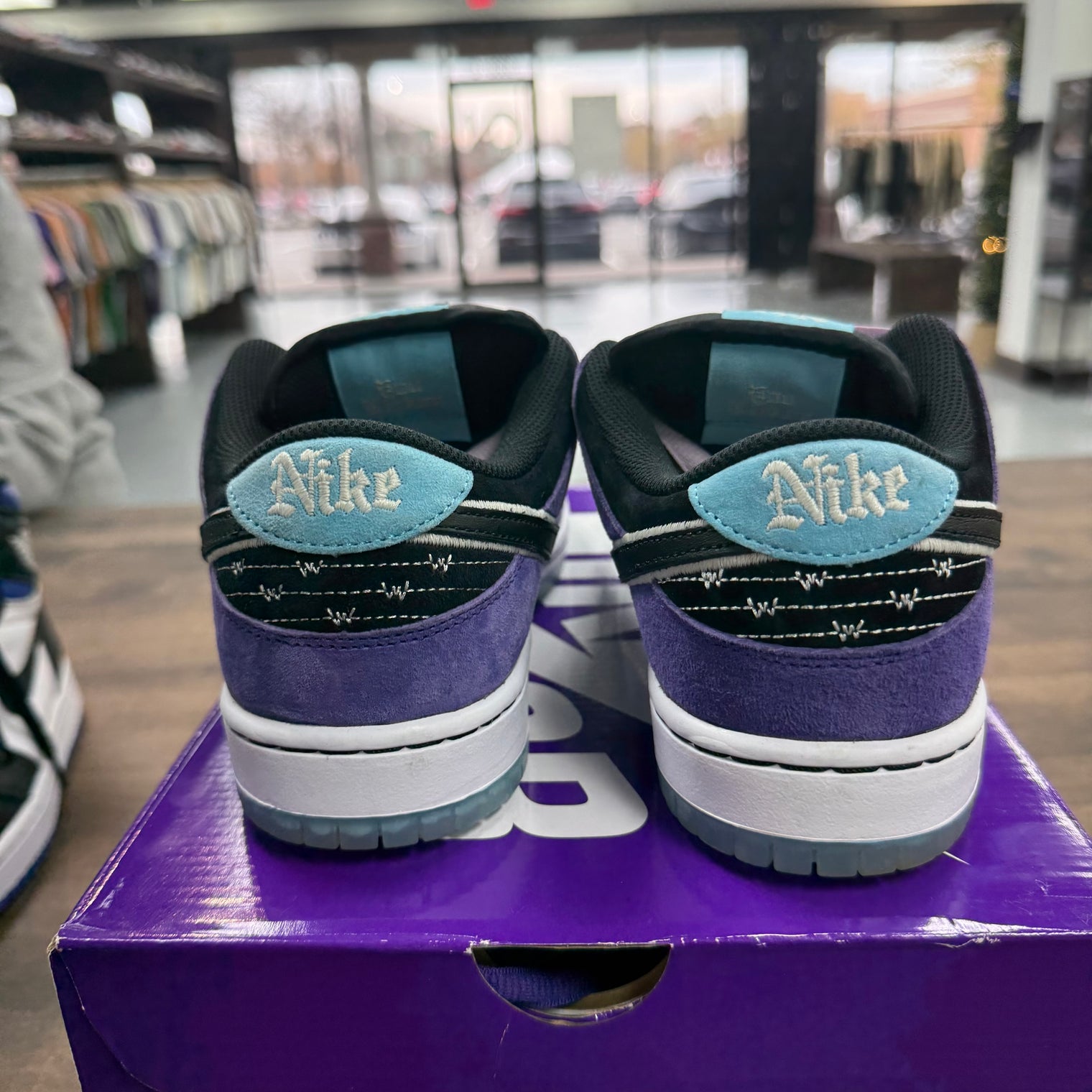 Hayley Wilson Nike SB Dunk Low (USED)