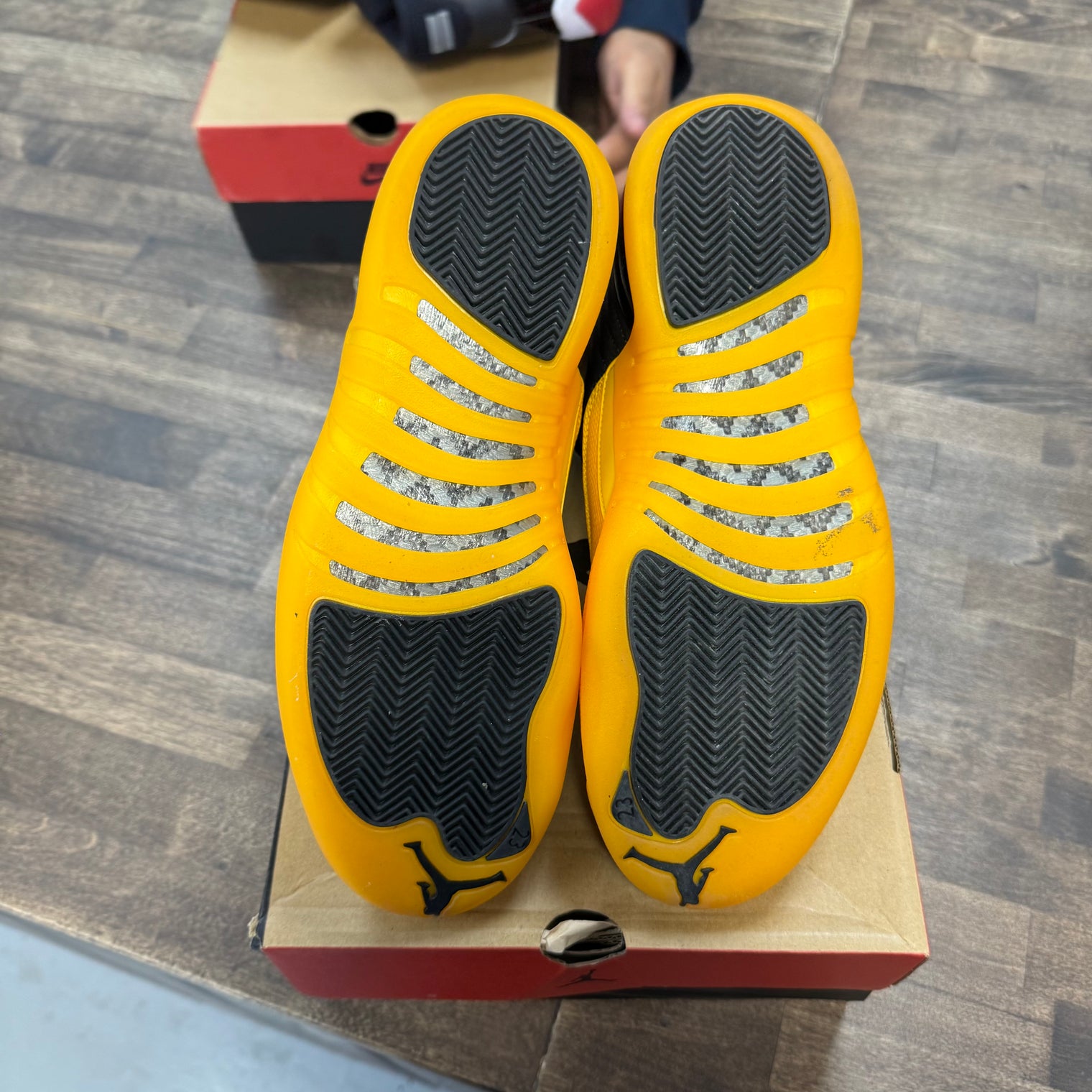 University Gold Jordan 12 Retro (USED)