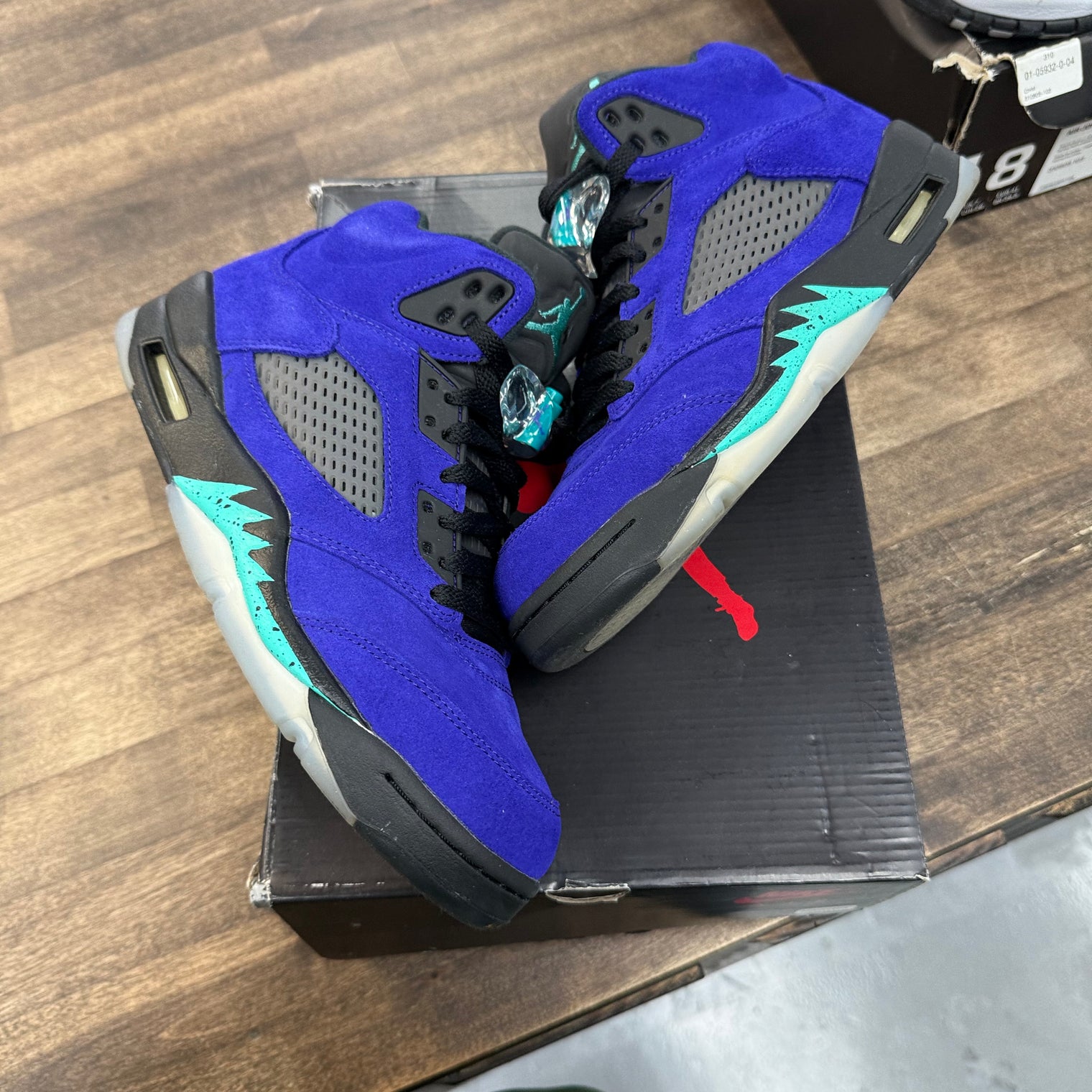 Alternate Grape Jordan 5 Retro (USED)