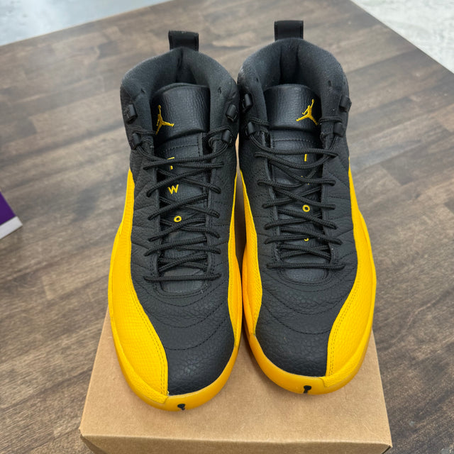University Gold Jordan 12 (USED, No Box)