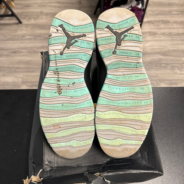 Jordan 10 Lady Liberty (USED)