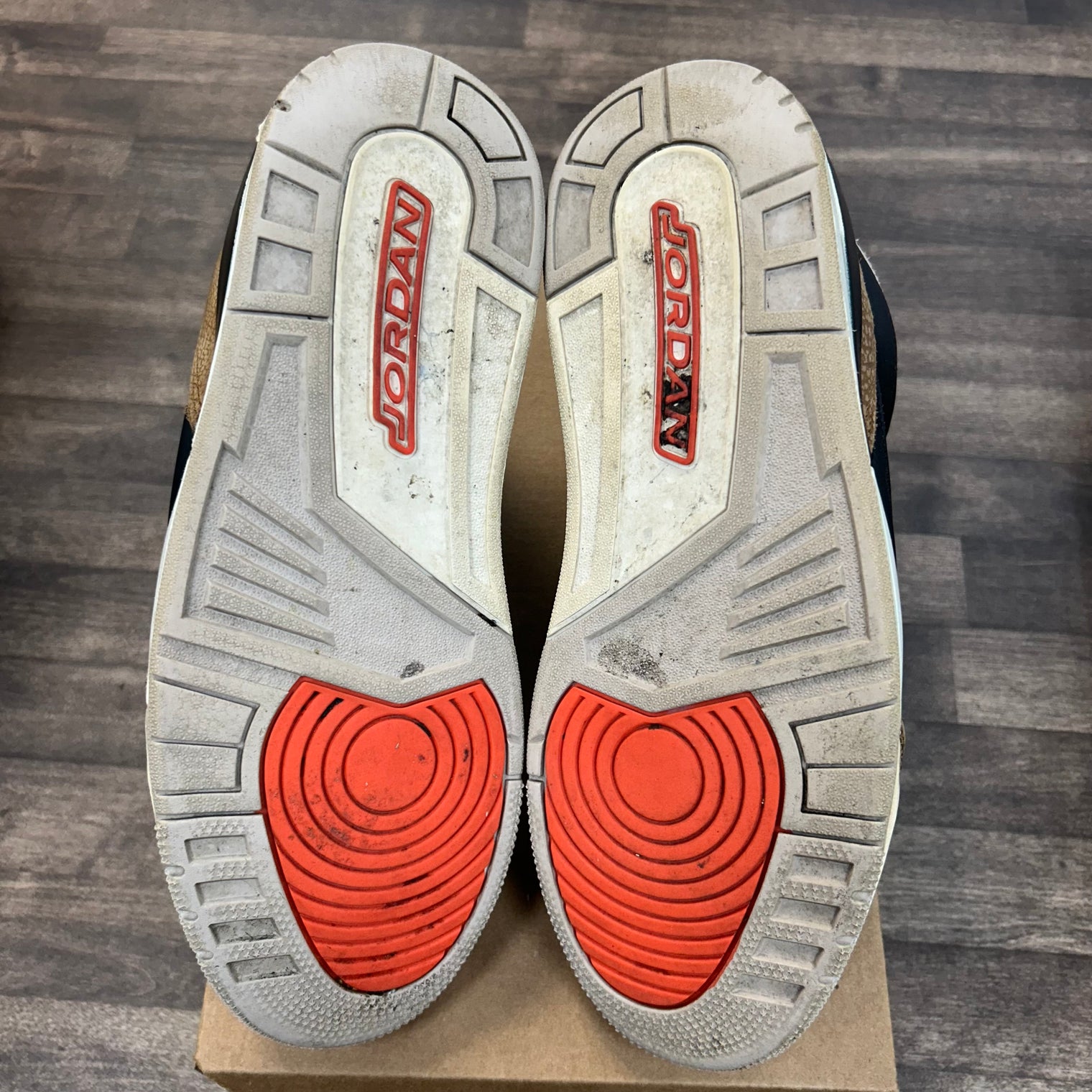 Desert Elephant Jordan 3 (Used, No Box)