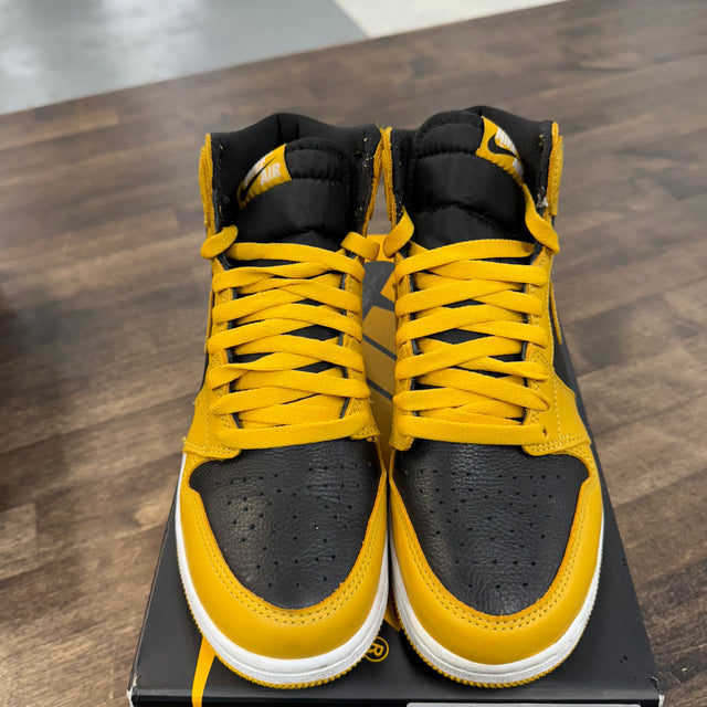 Pollen Jordan 1 High (USED)