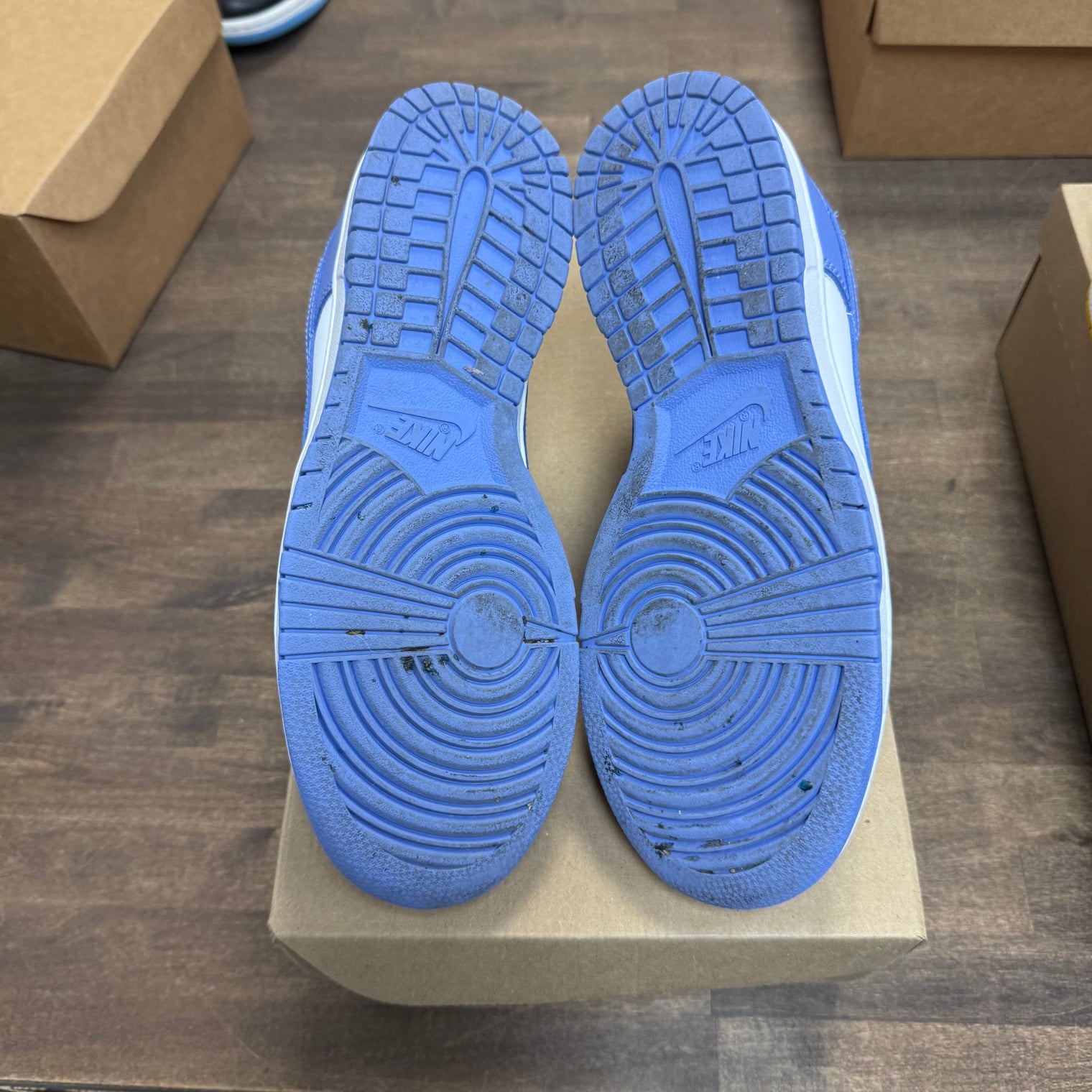 Polar Blue Dunk Low (USED, No Box)