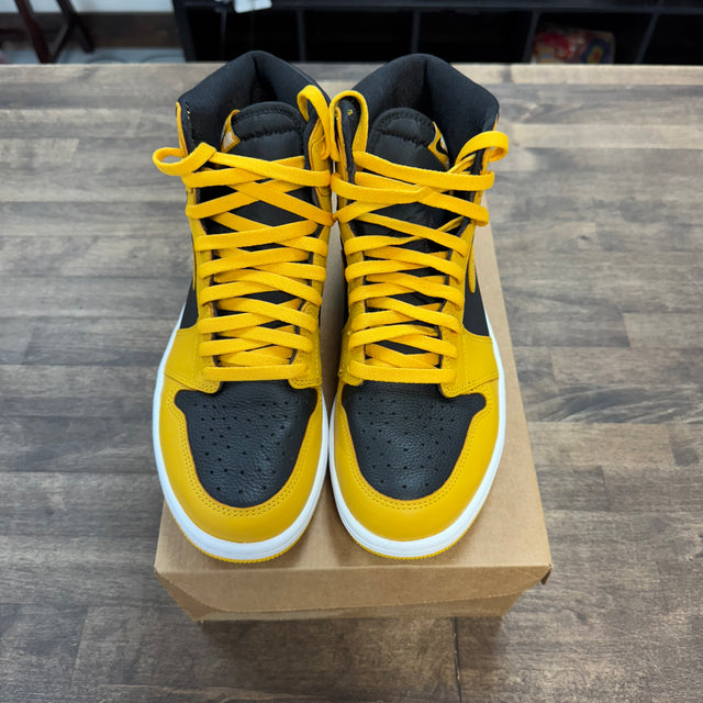 Pollen Jordan 1 High (USED, No Box)