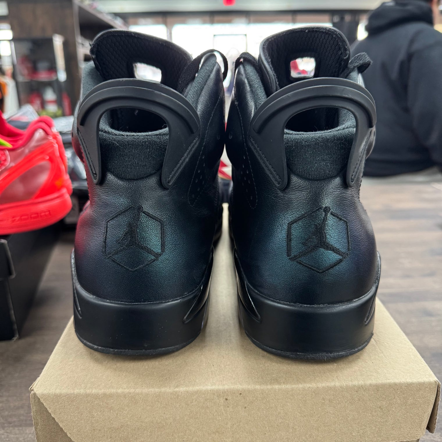 All-Star Chameleon Jordan 6 Retro (USED, No Box)