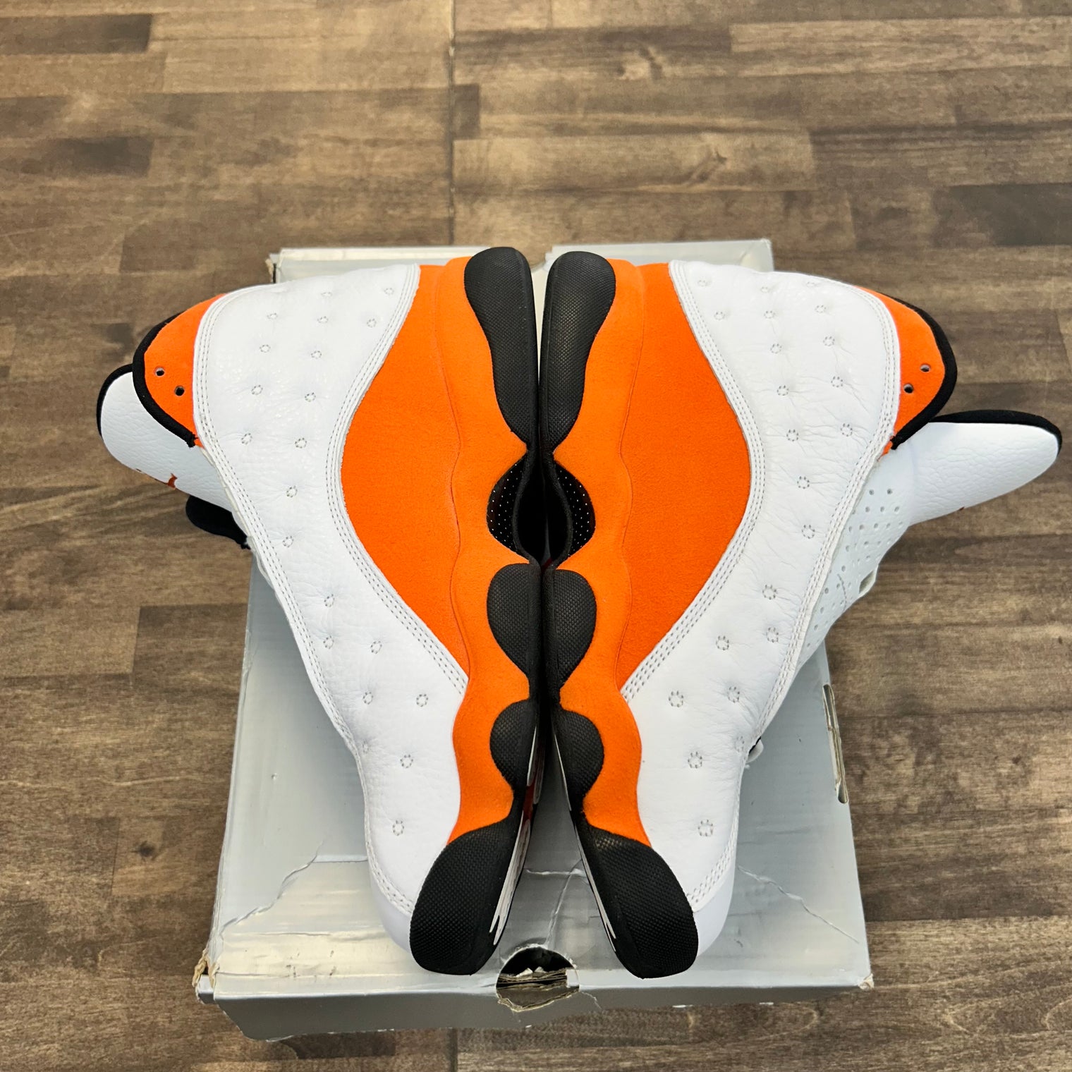 Starfish Jordan 13 (USED)