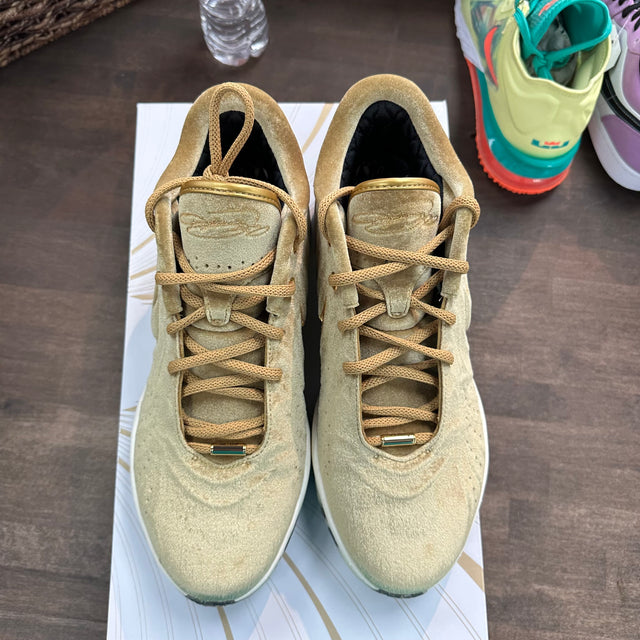 Shop Nobility Nike LeBron 21 (Marbled Sole) (USED)