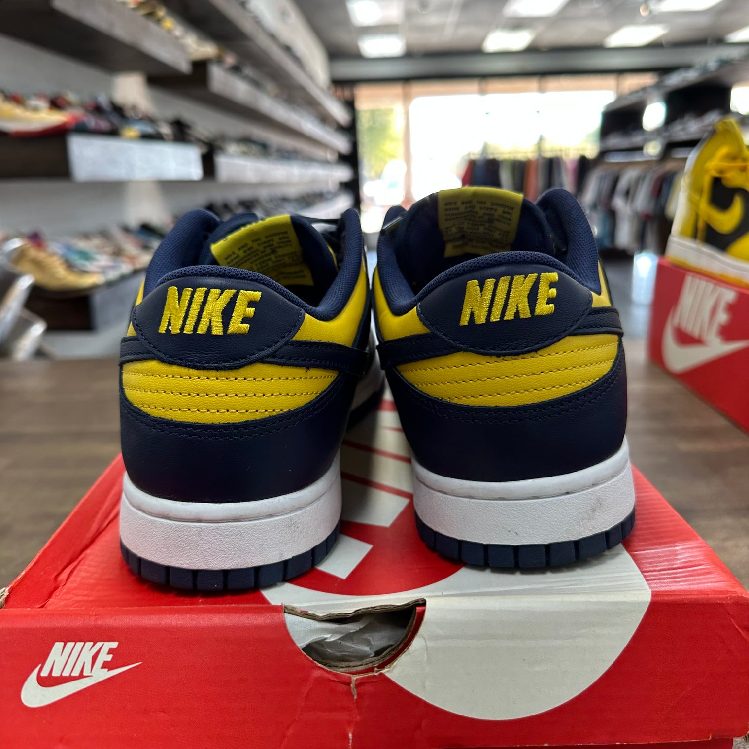 Michigan Dunk Low (2021) (USED)