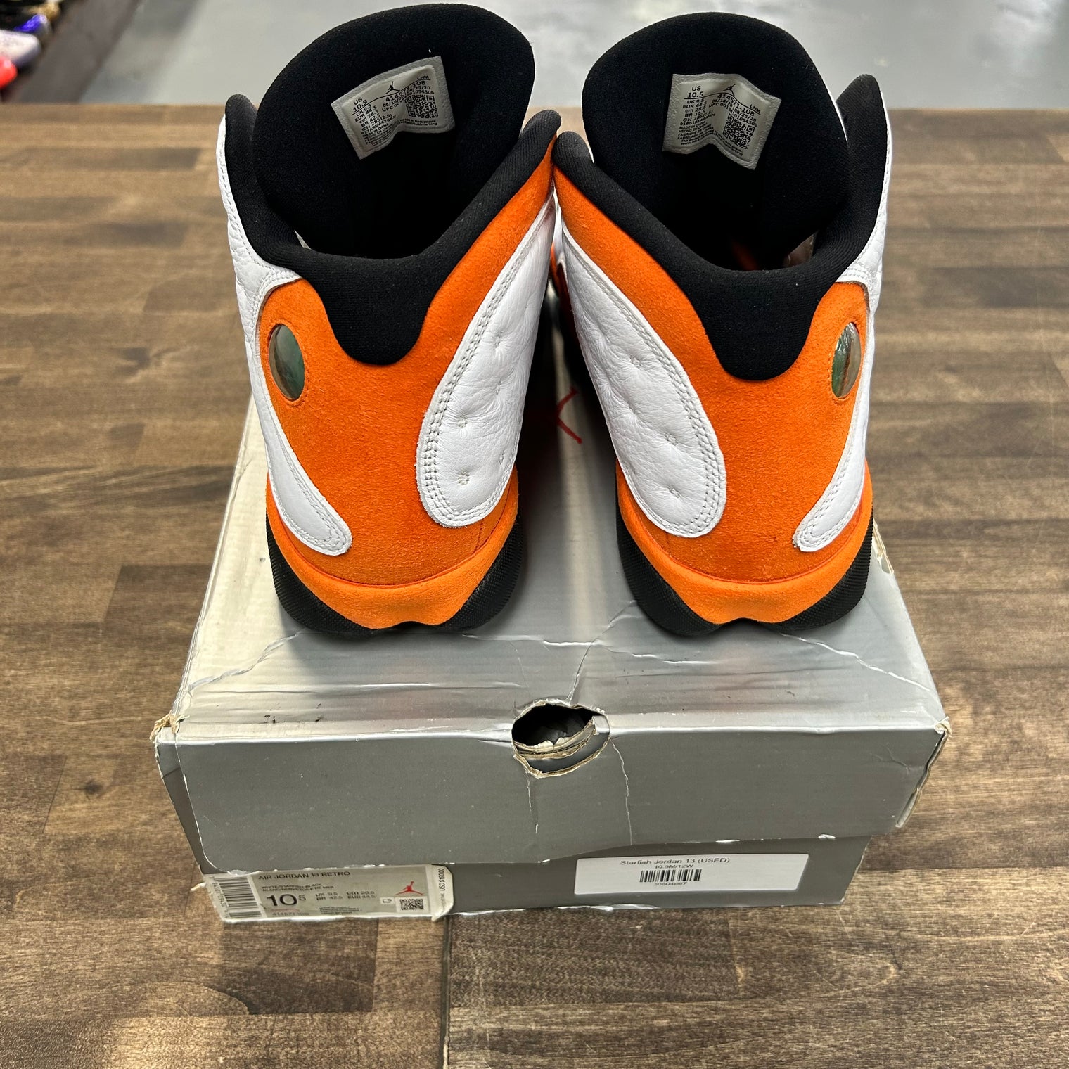 Starfish Jordan 13 (USED)