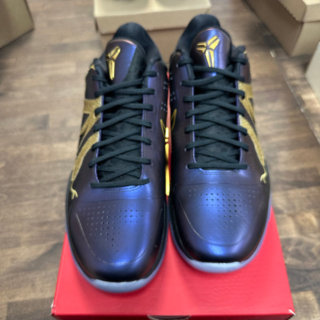 Eggplant Kobe 5 Protro (USED)
