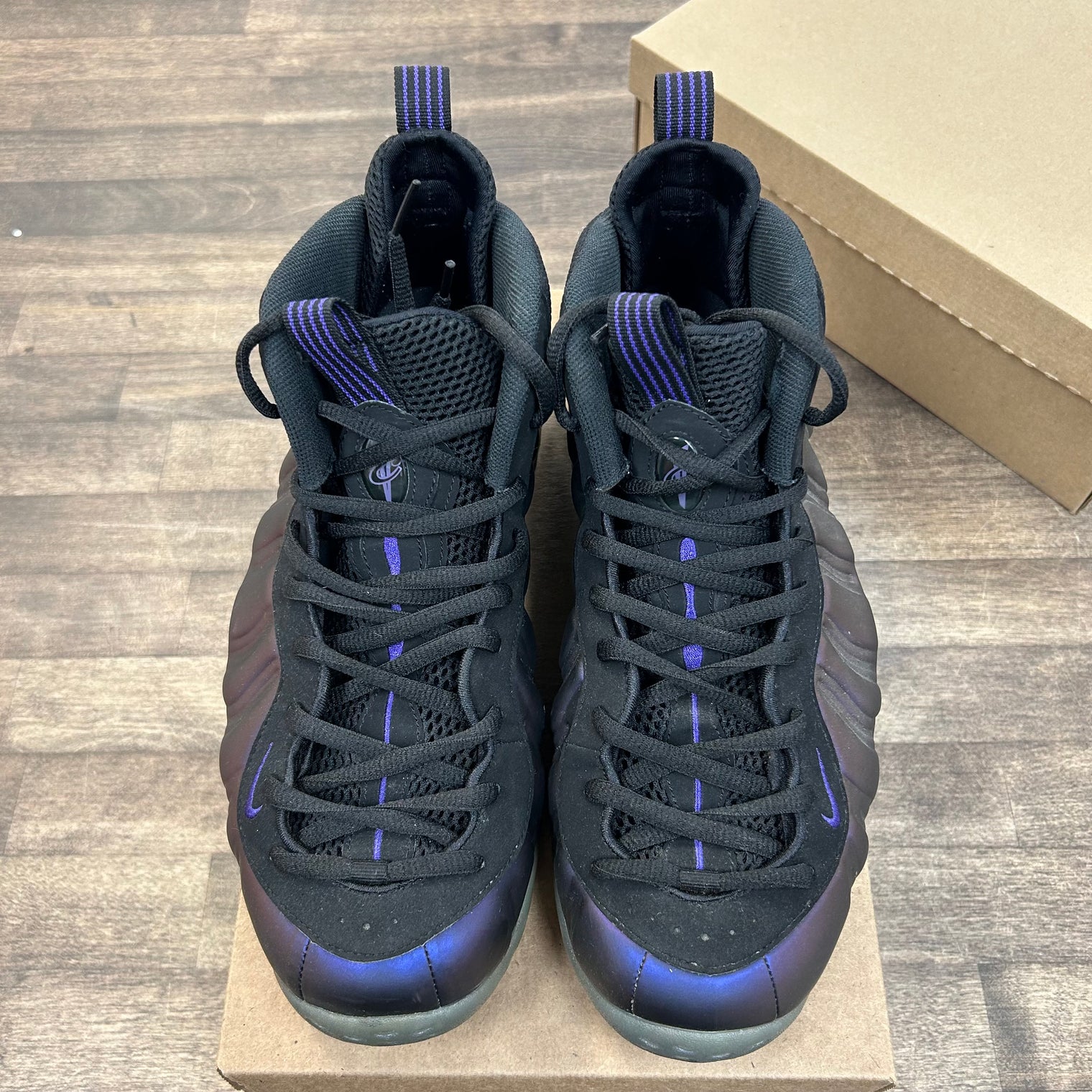 Eggplant Nike Foamposite (2017) (USED, No Box)