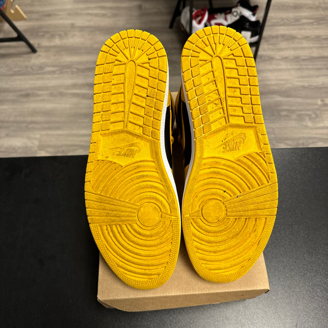 Pollen Jordan 1 High (USED, No Box)