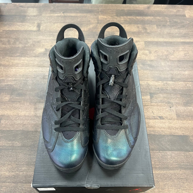 Chameleon Jordan 6 (USED)