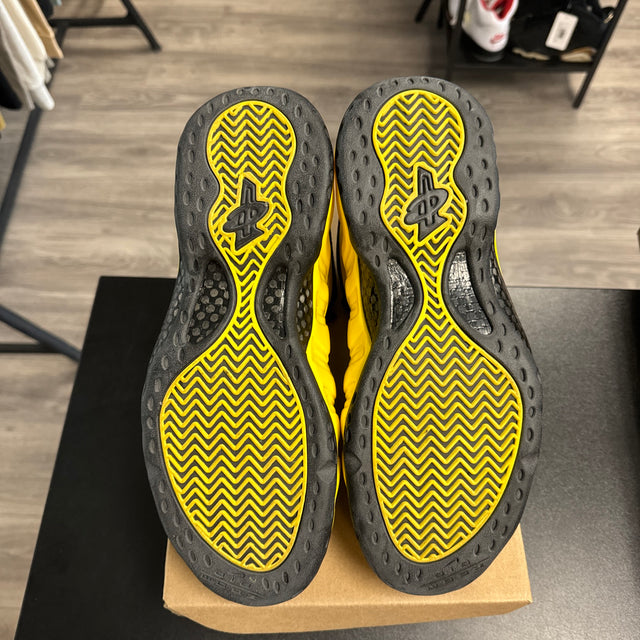 Nike Air Foamposite Wu tang (USED: No Box)