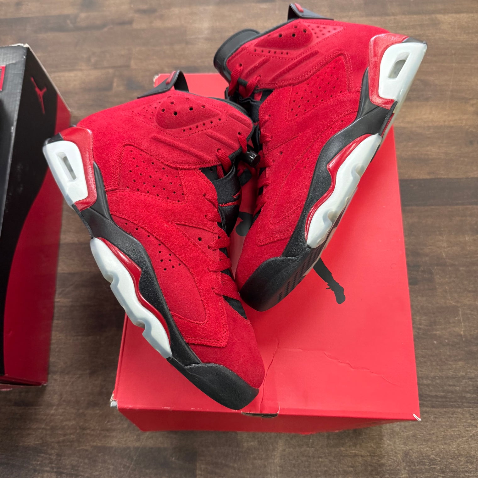 Toro Bravo Jordan 6 Retro (USED)