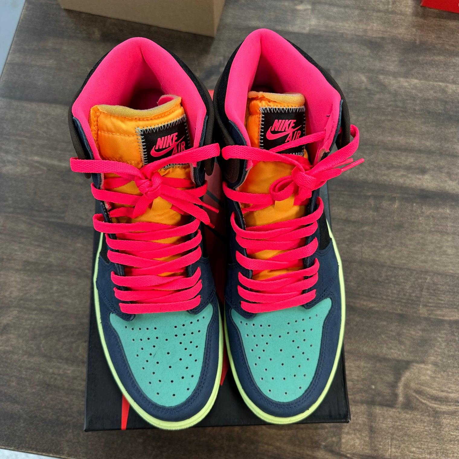 Bio Hack Jordan 1 High (USED)