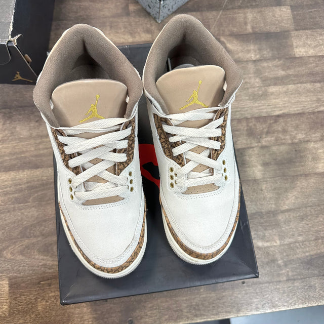 Palomino Jordan 3 Retro (GS) (USED)