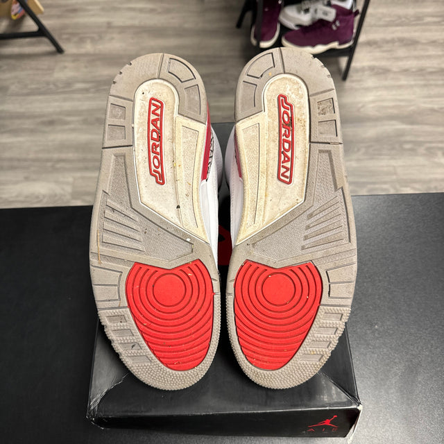 Hall of Fame Jordan 3 (USED)