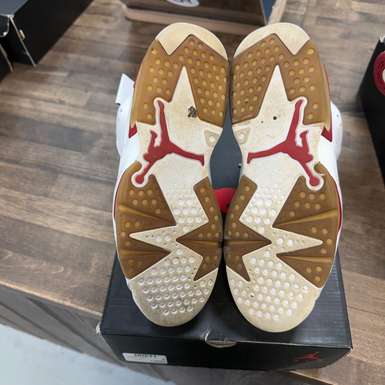 Alternate Hare Jordan 6 Retro (USED)
