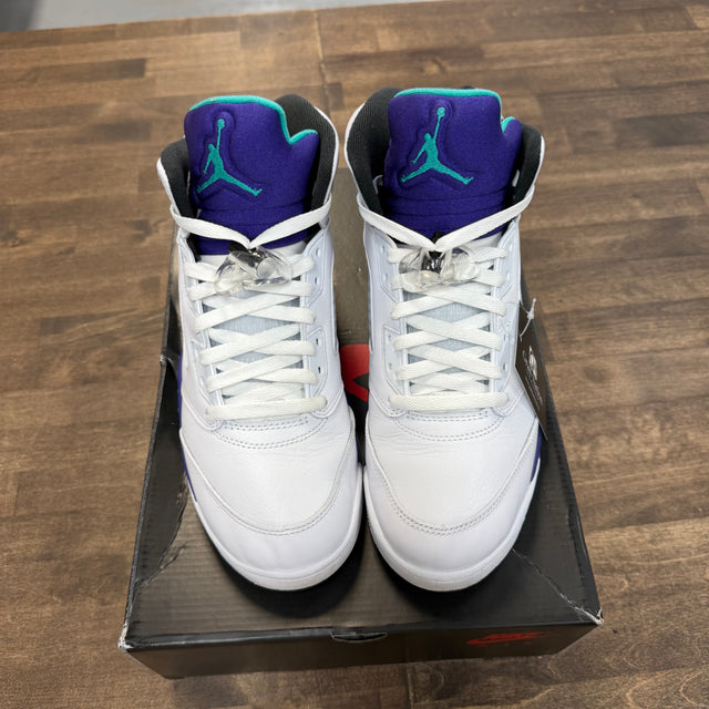 Grape Jordan 5 (2025) (USED)