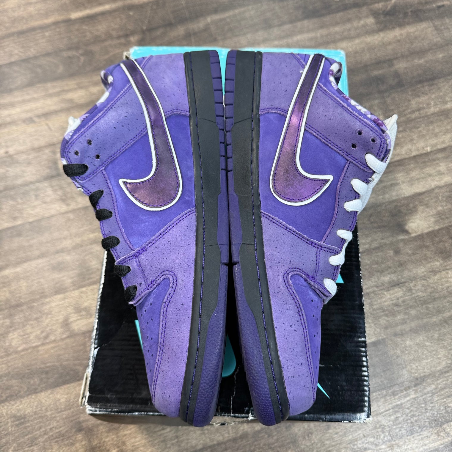 Concepts Purple Lobster Nike SB Dunk Low (USED)