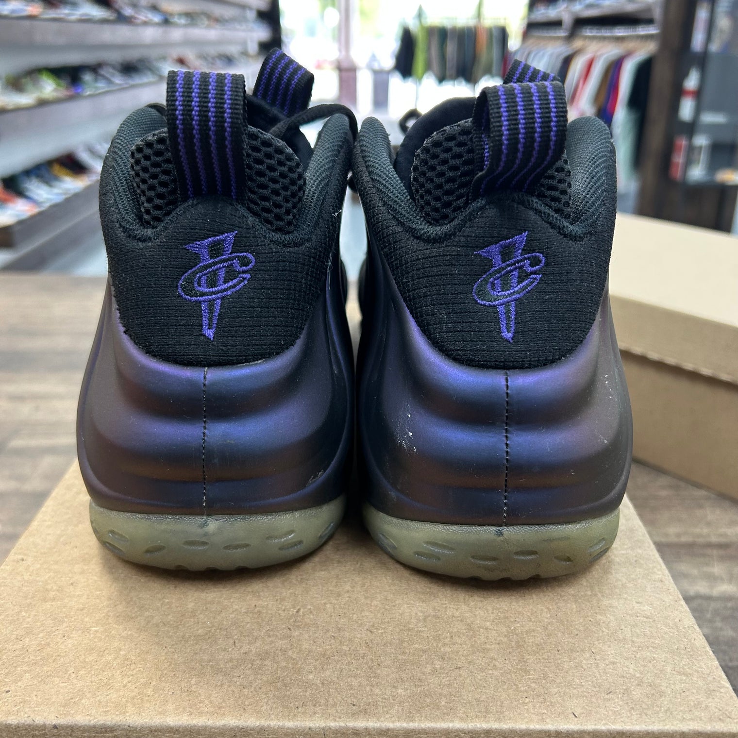 Eggplant Nike Foamposite (2017) (USED, No Box)