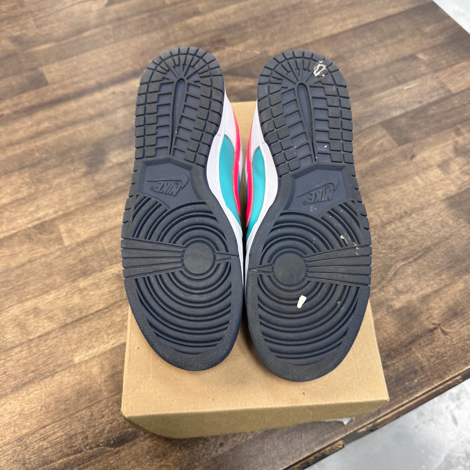 Dusty Cactus Nike Dunk Low (USED, No Box)