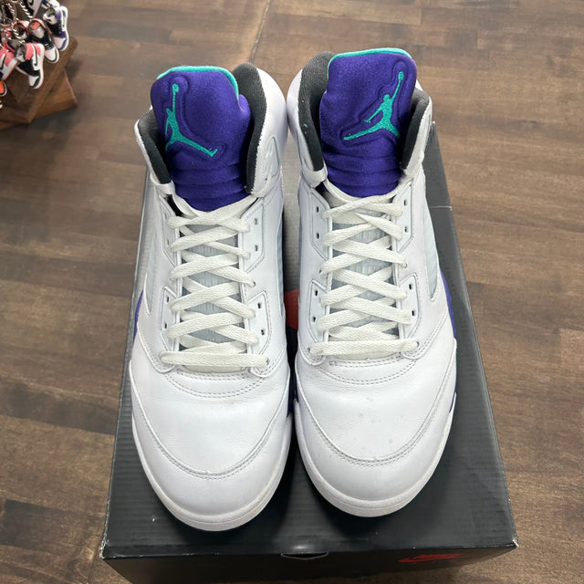 Grape Jordan 5 (2025) (USED)